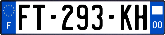 FT-293-KH