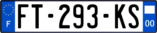 FT-293-KS