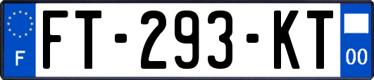 FT-293-KT