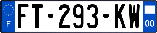 FT-293-KW