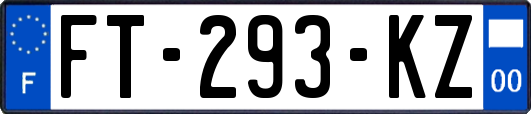 FT-293-KZ