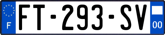 FT-293-SV