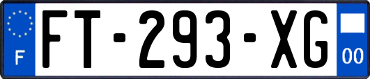 FT-293-XG