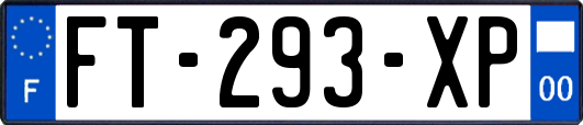 FT-293-XP