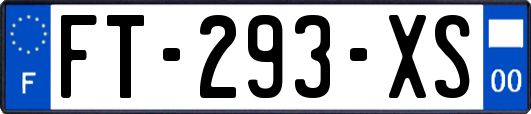 FT-293-XS