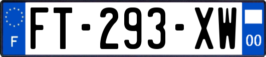FT-293-XW