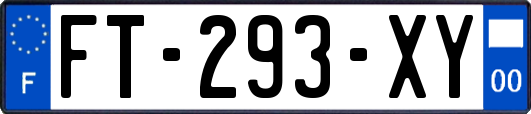 FT-293-XY