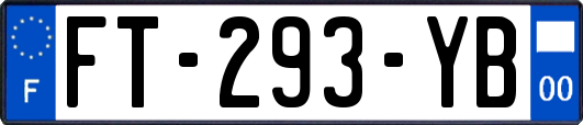 FT-293-YB