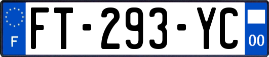 FT-293-YC