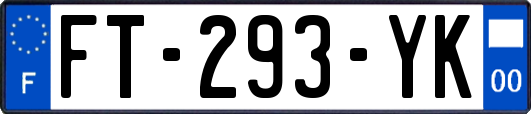 FT-293-YK