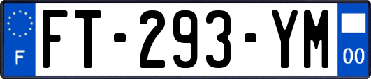 FT-293-YM