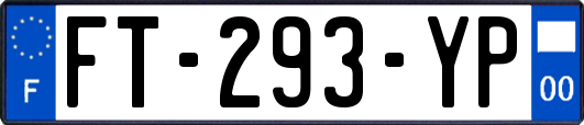 FT-293-YP