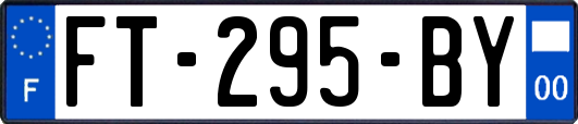 FT-295-BY