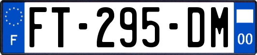 FT-295-DM