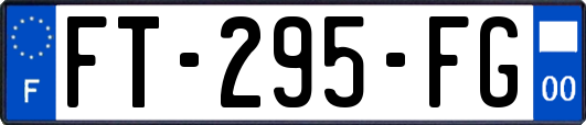 FT-295-FG