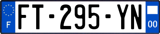 FT-295-YN