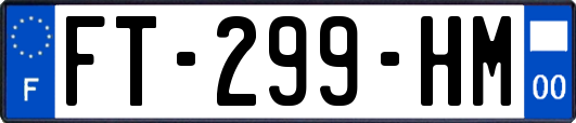 FT-299-HM