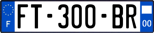 FT-300-BR