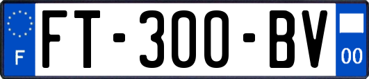 FT-300-BV