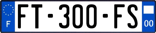 FT-300-FS