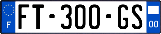 FT-300-GS
