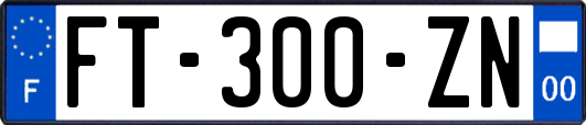 FT-300-ZN