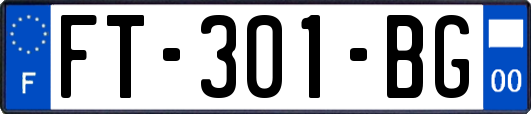 FT-301-BG