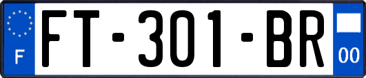 FT-301-BR