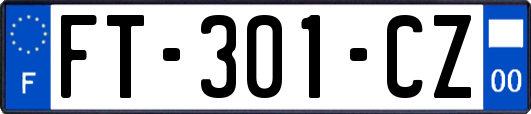 FT-301-CZ