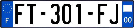 FT-301-FJ