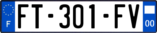 FT-301-FV