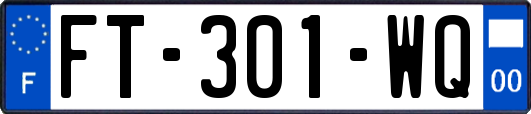 FT-301-WQ