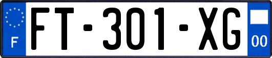 FT-301-XG