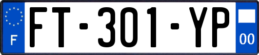 FT-301-YP