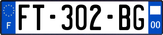 FT-302-BG