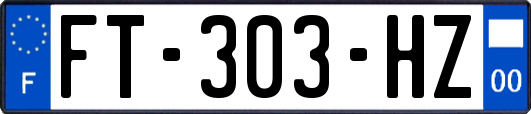 FT-303-HZ
