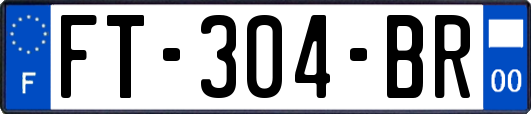 FT-304-BR