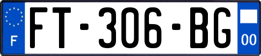 FT-306-BG