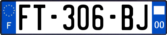 FT-306-BJ