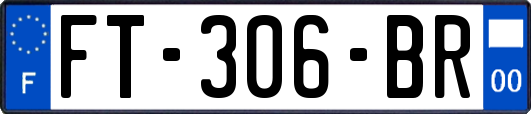 FT-306-BR