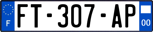 FT-307-AP