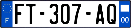 FT-307-AQ