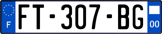 FT-307-BG