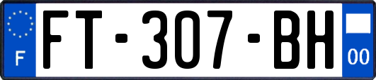 FT-307-BH