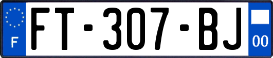 FT-307-BJ