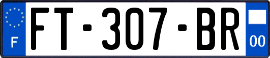 FT-307-BR