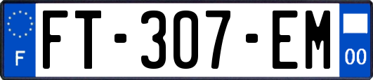 FT-307-EM