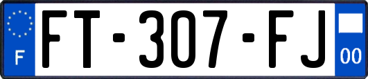 FT-307-FJ