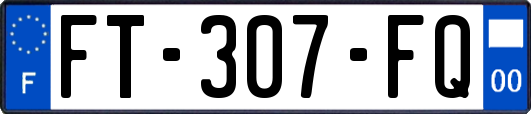 FT-307-FQ