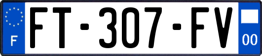 FT-307-FV